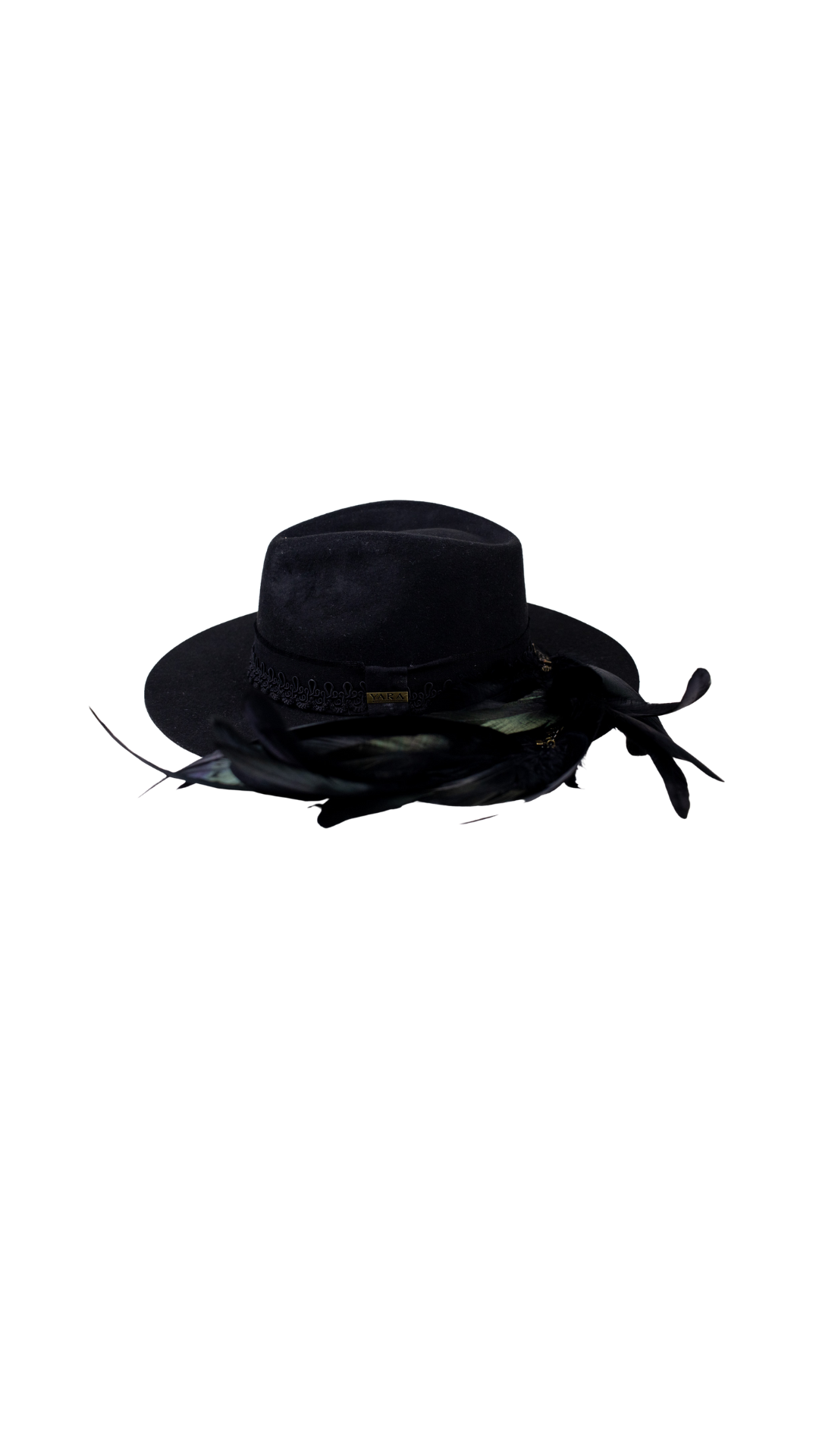 Catálogo YARA (100)