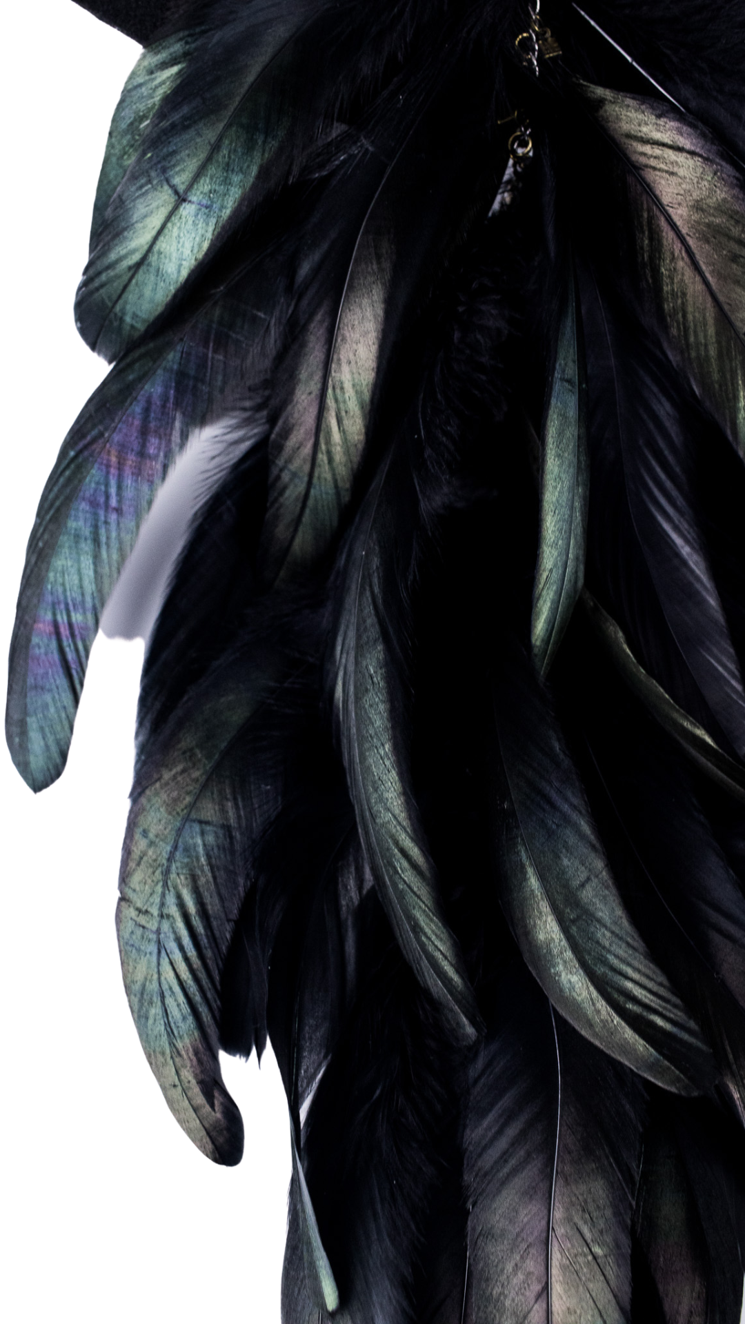 Catálogo YARA – 2024-01-29T195649.333